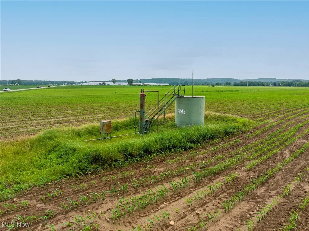 View of yard with a rural view and agricultural area