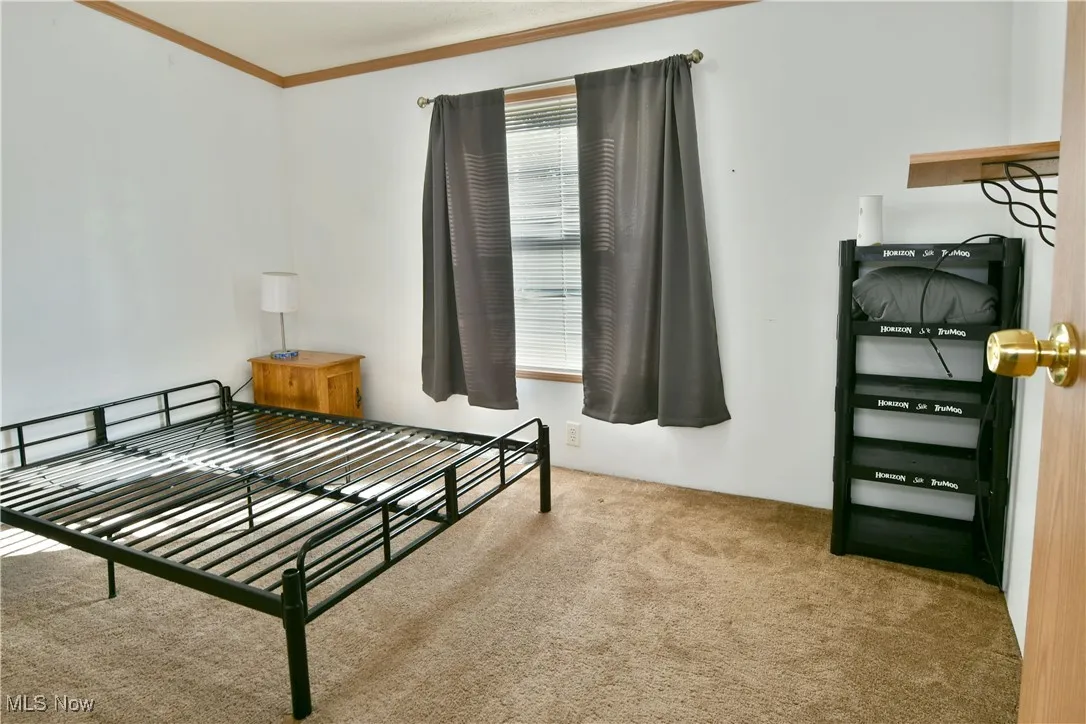 Bedroom with light carpet and ornamental molding