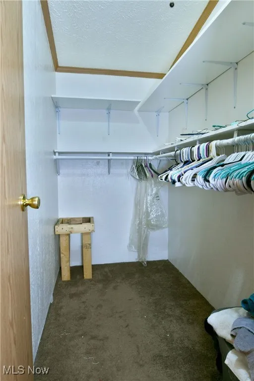 Spacious closet with dark colored carpet