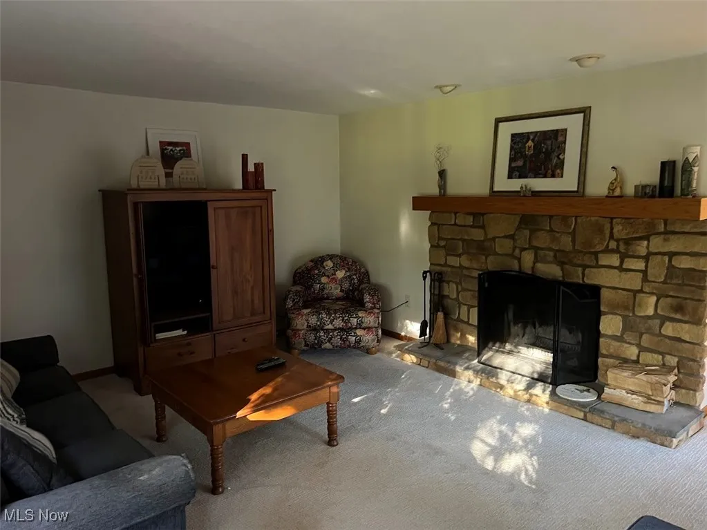 Living room featuring a stone fireplace and carpet flooring