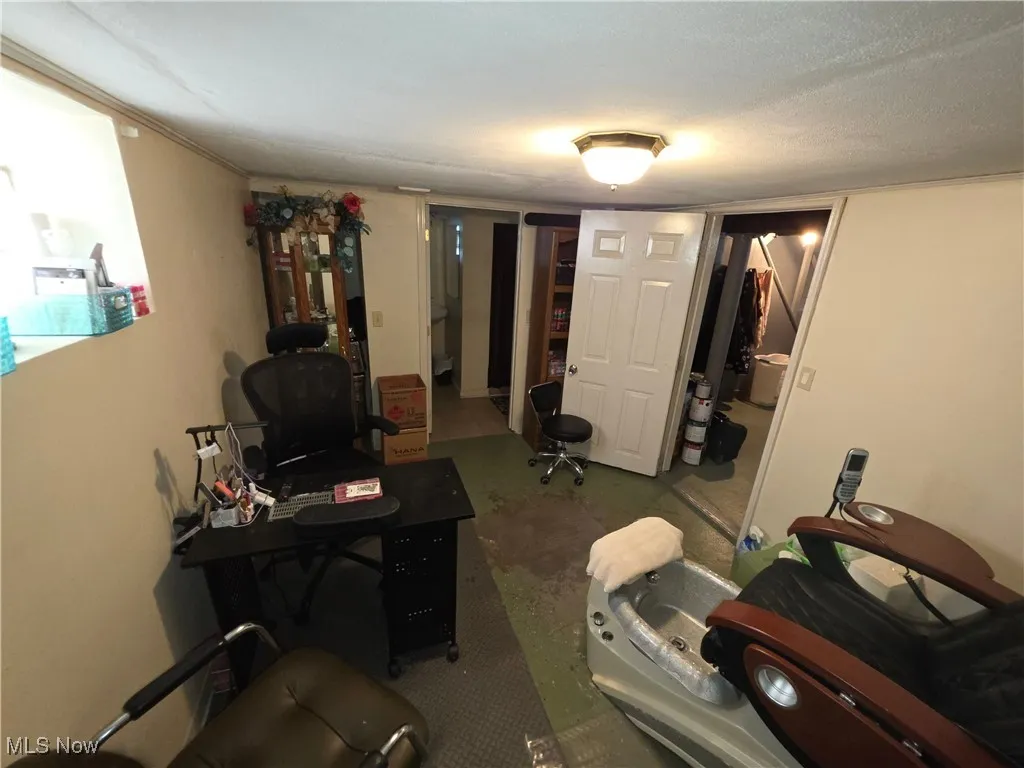 Home office basement