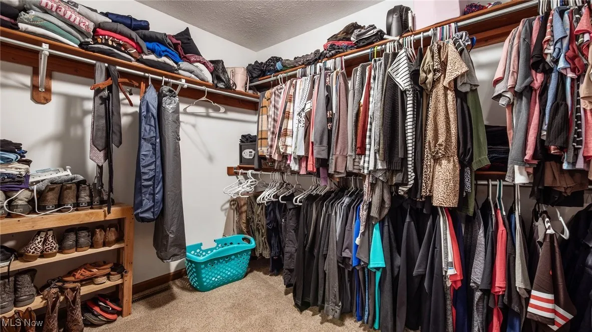 Walk in closet with light carpet