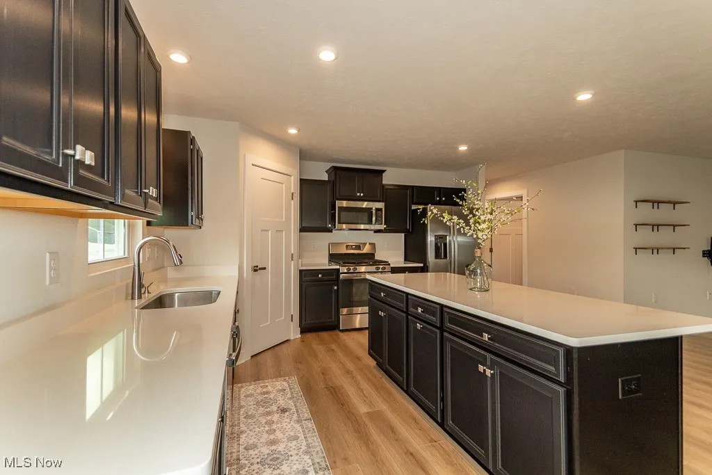 3756 Willow Way, Perry, Ohio 44081,MLS Now Listing ID