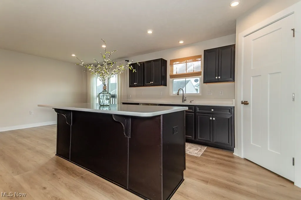 3756 Willow Way, Perry, Ohio 44081,MLS Now Listing ID