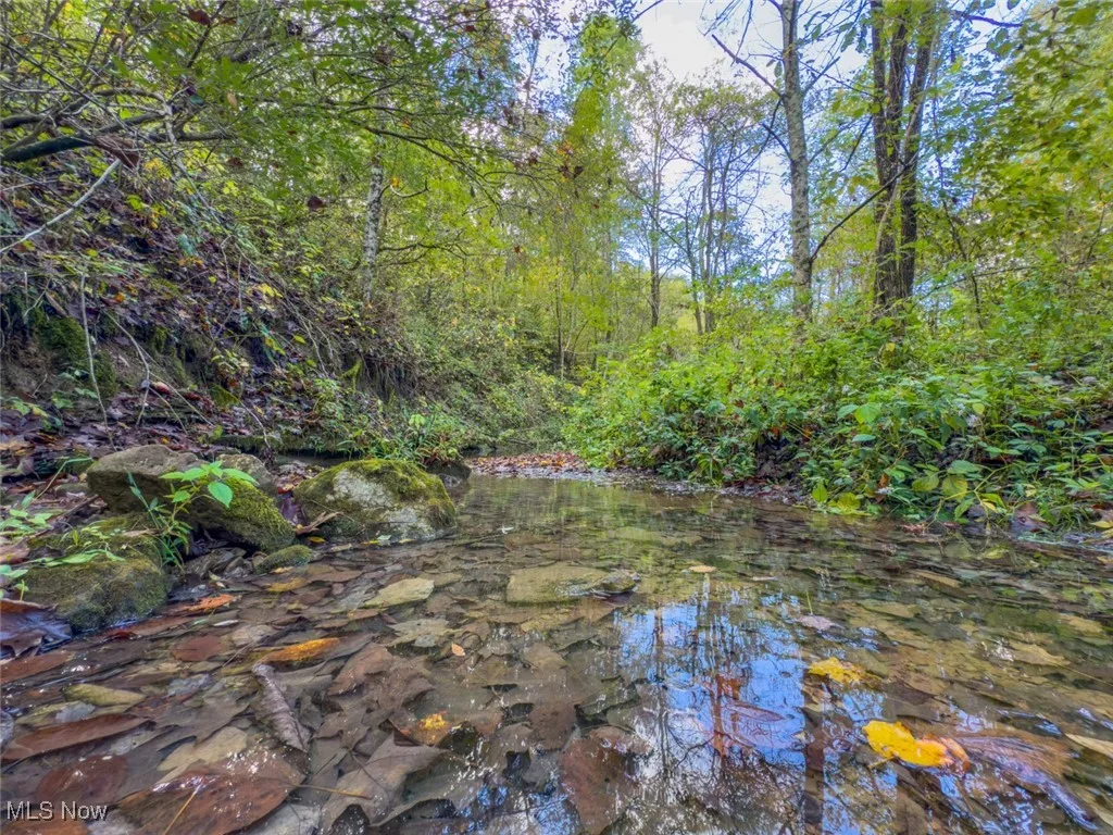 34590 Witten Creek Road, Graysville, Ohio 45734,MLS Now Listing ID