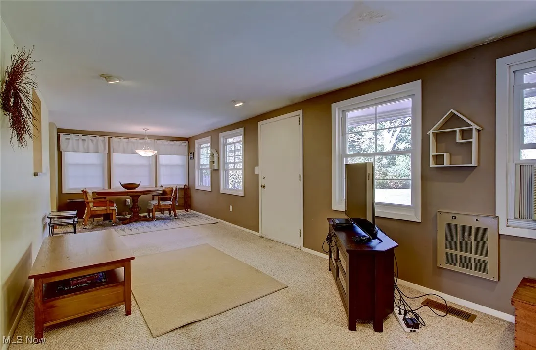 Living area with heating unit and carpet flooring