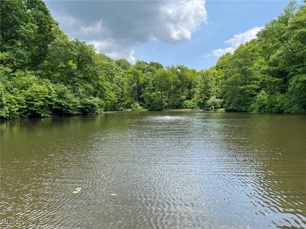 Water view featuring a forest
