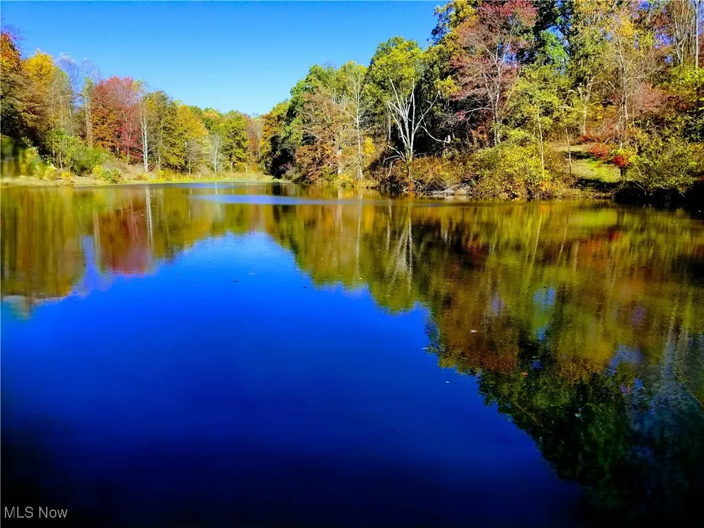 Water view featuring a forest
