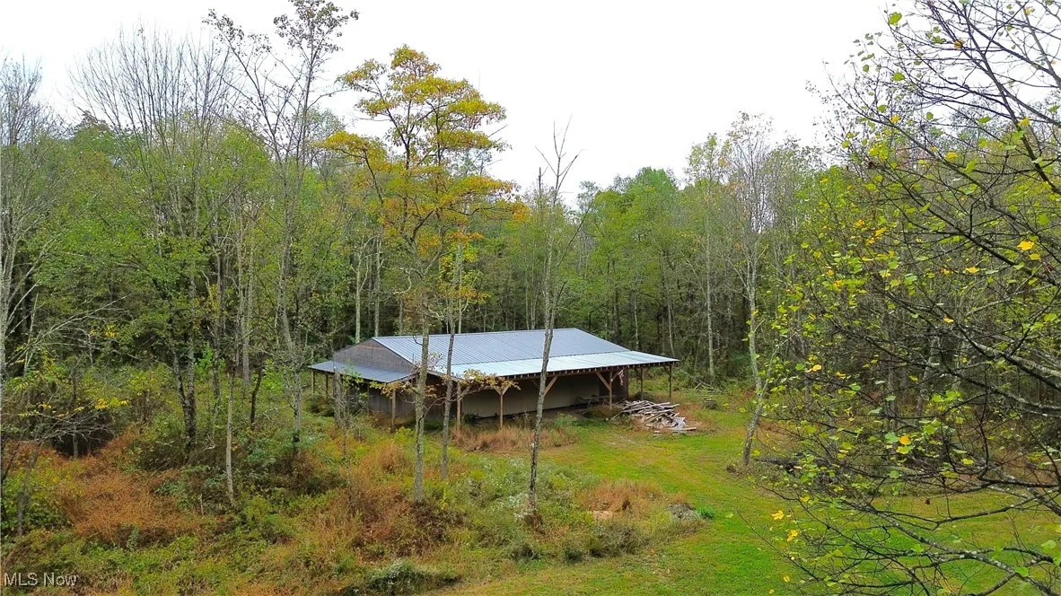 View of yard with a forest view and an outbuilding
