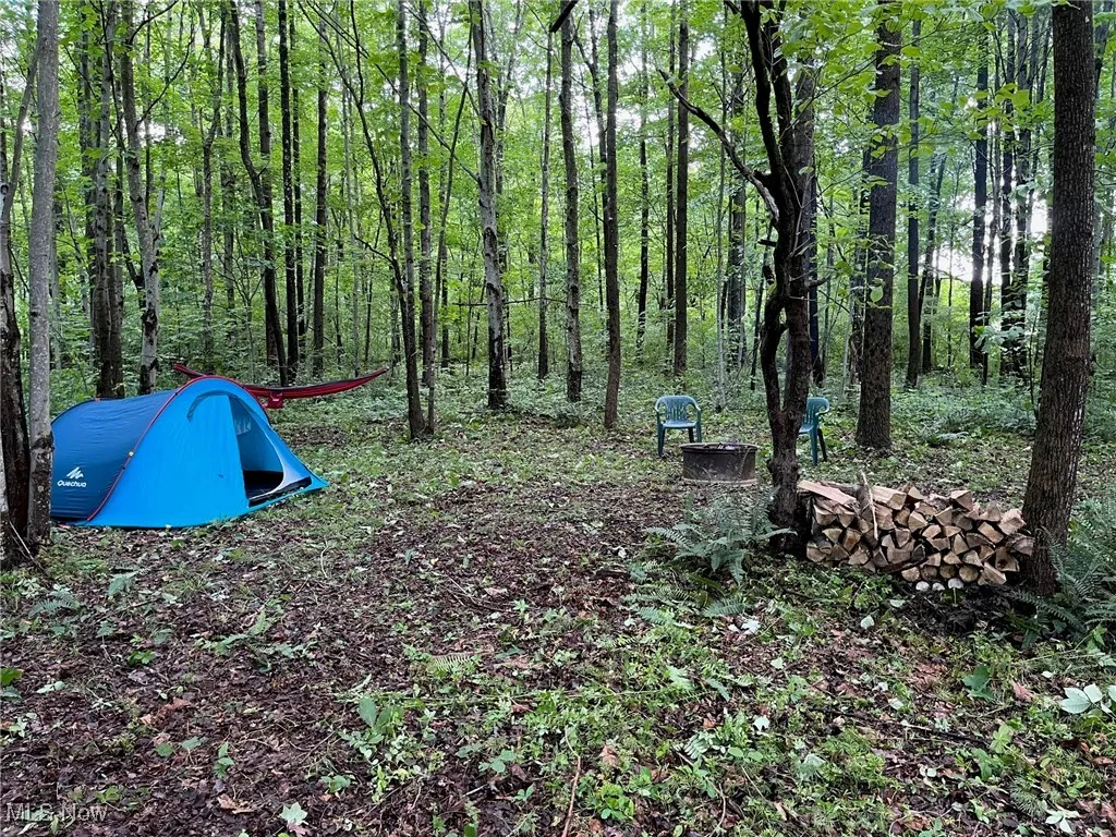 View of yard with a wooded view