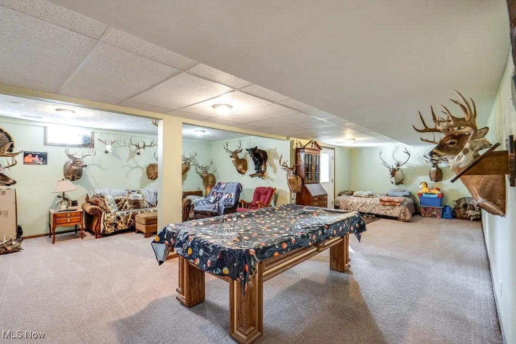 Game room with carpet flooring, healthy amount of natural light, a paneled ceiling, and billiards
