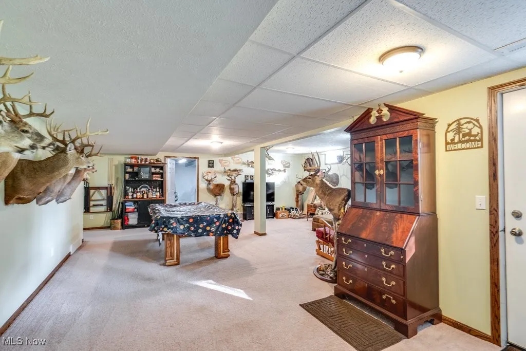 Recreation room featuring carpet and a drop ceiling