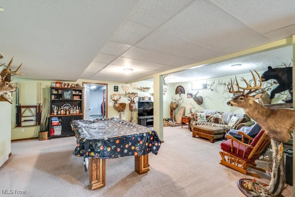 Recreation room featuring carpet flooring and a paneled ceiling