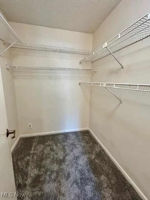 Spacious closet featuring dark carpet