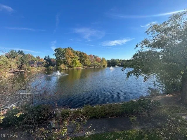Water view