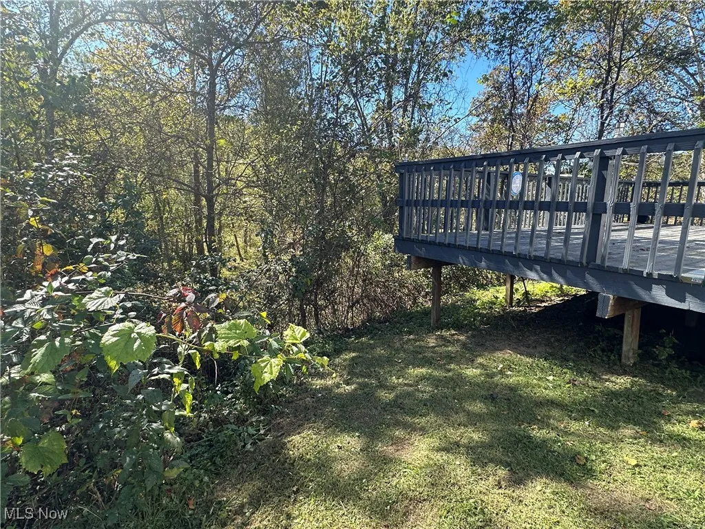 39490 Pauline Booard Road, Caldwell, Ohio 43724,MLS Now Listing ID