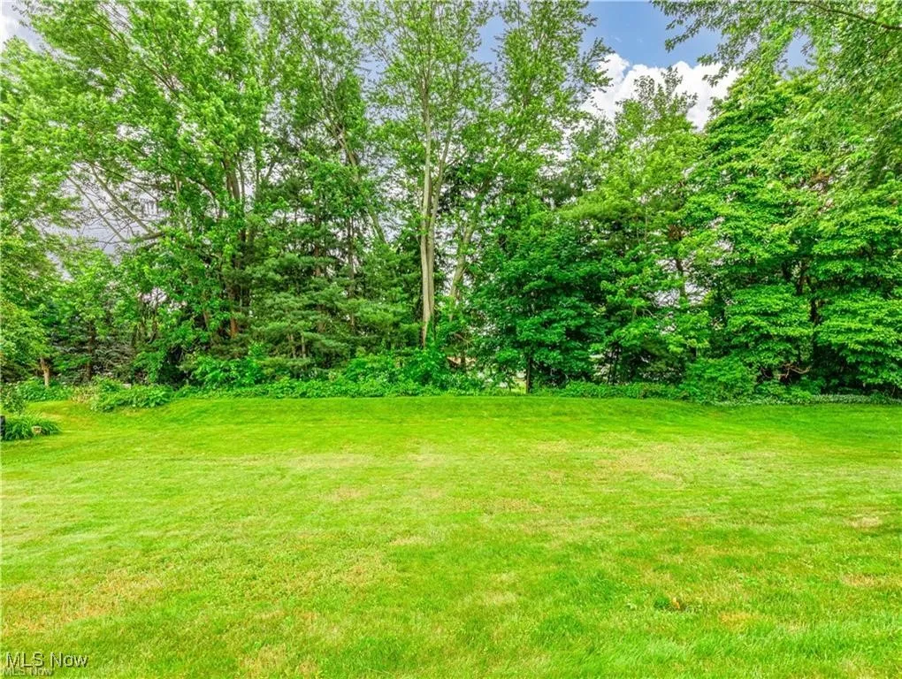 View of back yard