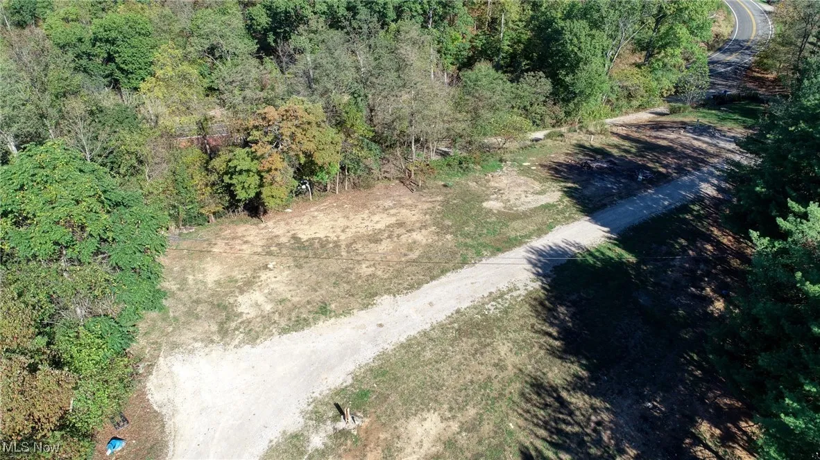 Bird's eye view of a forest