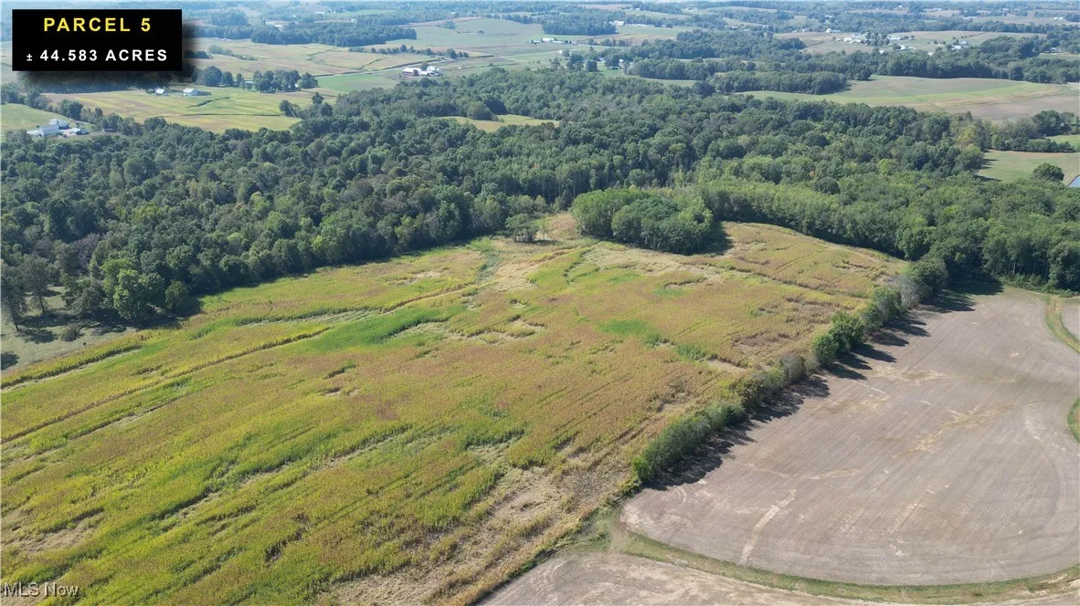 View of rural area featuring rows of crops