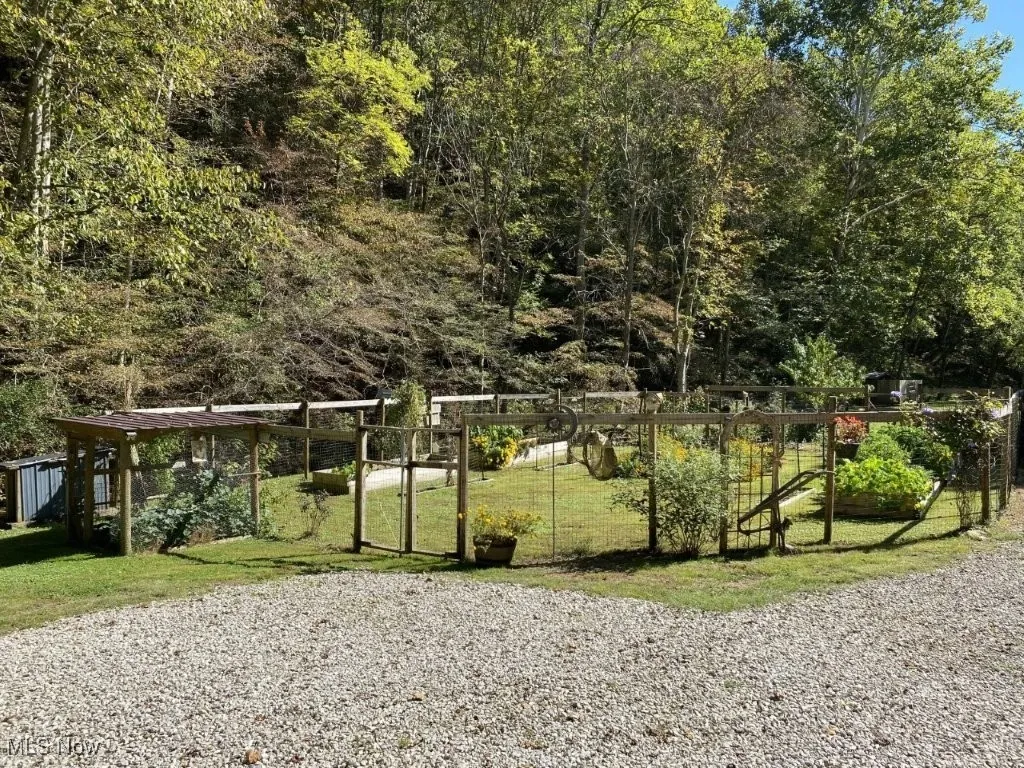 781 Canoe Run Road, Looneyville, West Virginia 25259,MLS Now Listing ID