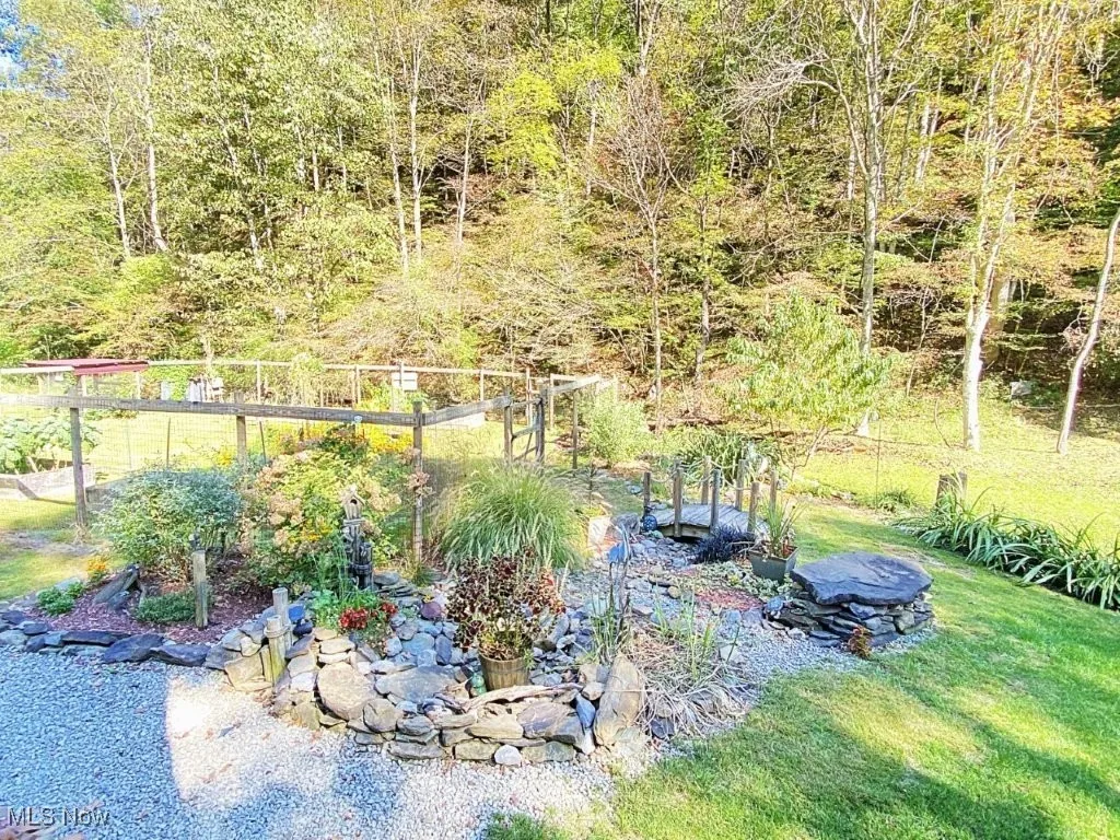 781 Canoe Run Road, Looneyville, West Virginia 25259,MLS Now Listing ID