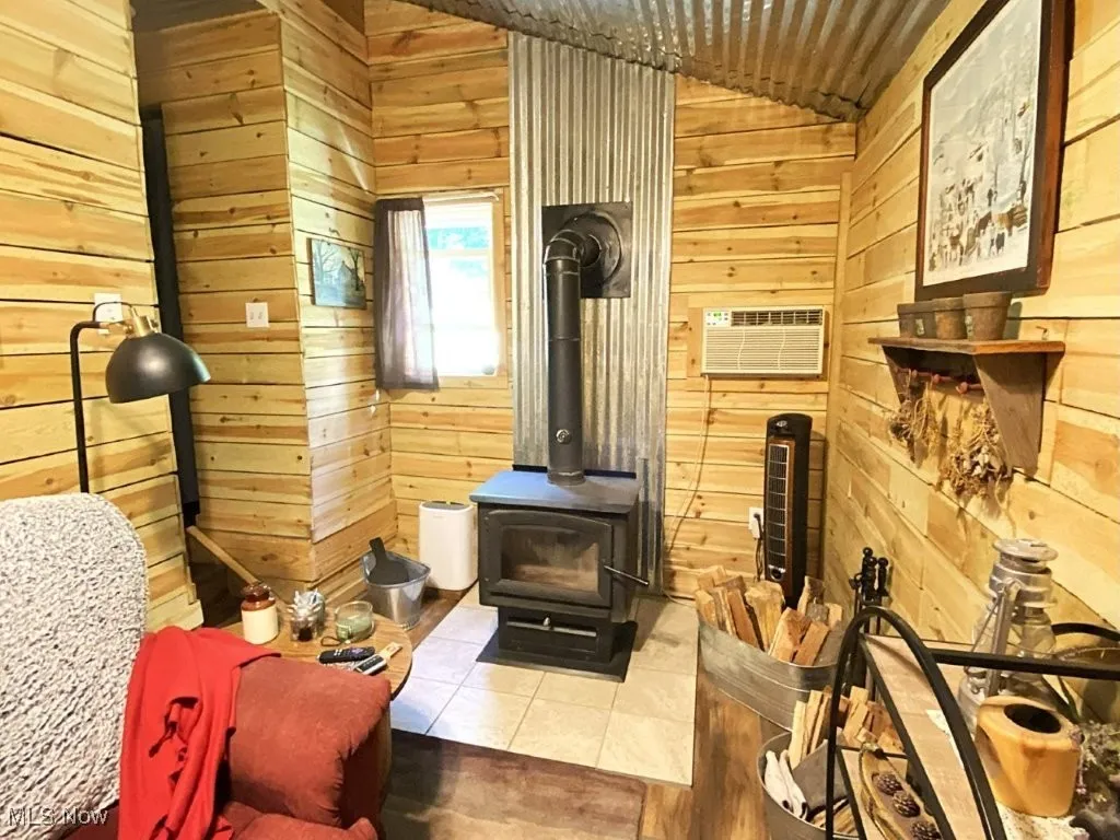 781 Canoe Run Road, Looneyville, West Virginia 25259,MLS Now Listing ID