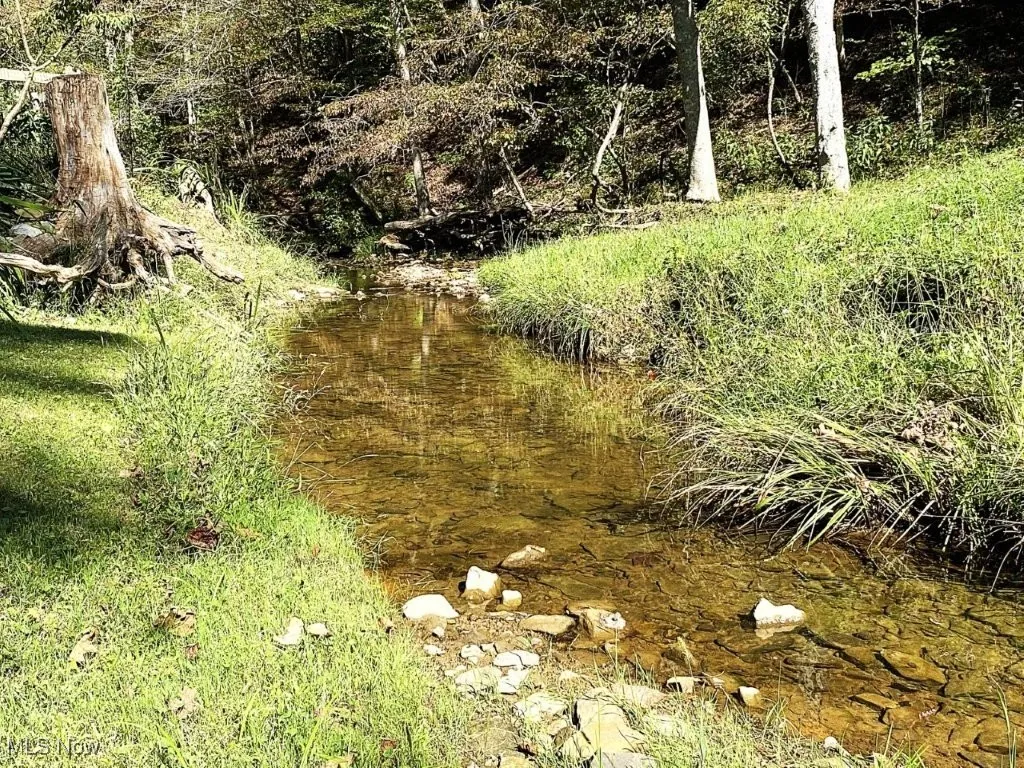 781 Canoe Run Road, Looneyville, West Virginia 25259,MLS Now Listing ID