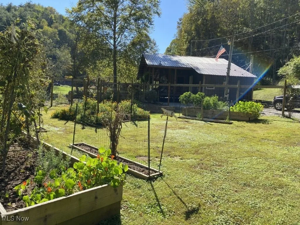 781 Canoe Run Road, Looneyville, West Virginia 25259,MLS Now Listing ID