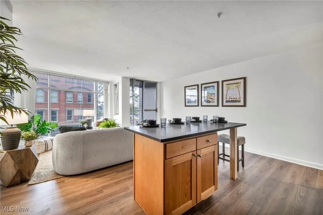2222 Detroit Avenue # 517, Cleveland, Ohio 44113,MLS Now Listing ID
