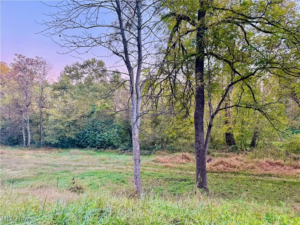 2010 & 2032 Cedar Run Road, Friendly, West Virginia 26134,MLS Now Listing ID