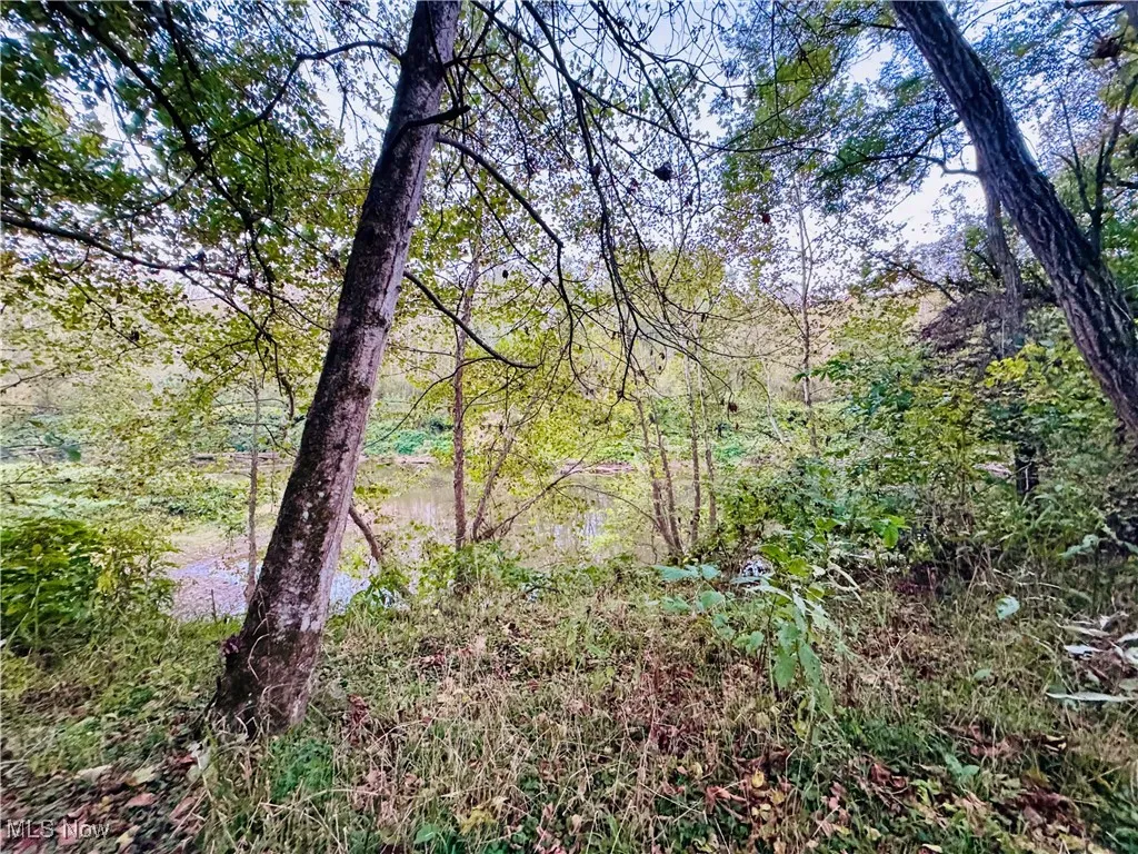 2010 & 2032 Cedar Run Road, Friendly, West Virginia 26134,MLS Now Listing ID