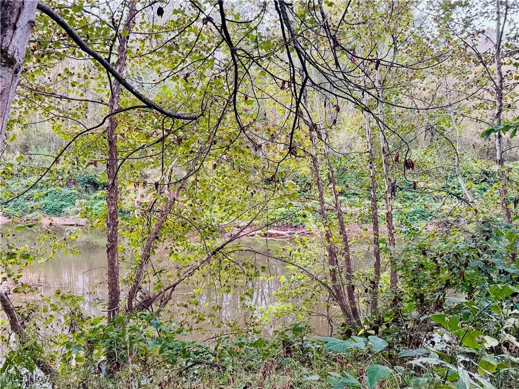 2010 & 2032 Cedar Run Road, Friendly, West Virginia 26134,MLS Now Listing ID