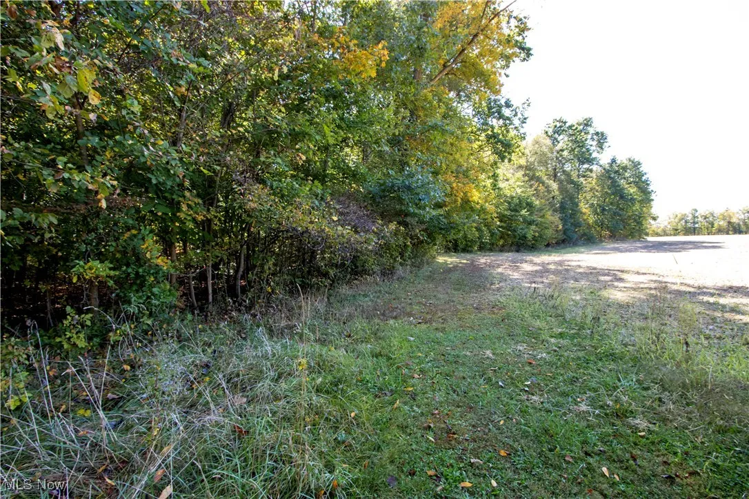 Repp Road, West Salem, Ohio 44287,MLS Now Listing ID