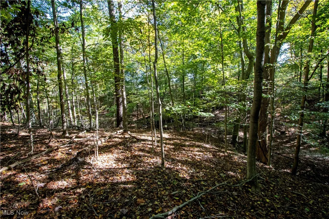 Repp Road, West Salem, Ohio 44287,MLS Now Listing ID