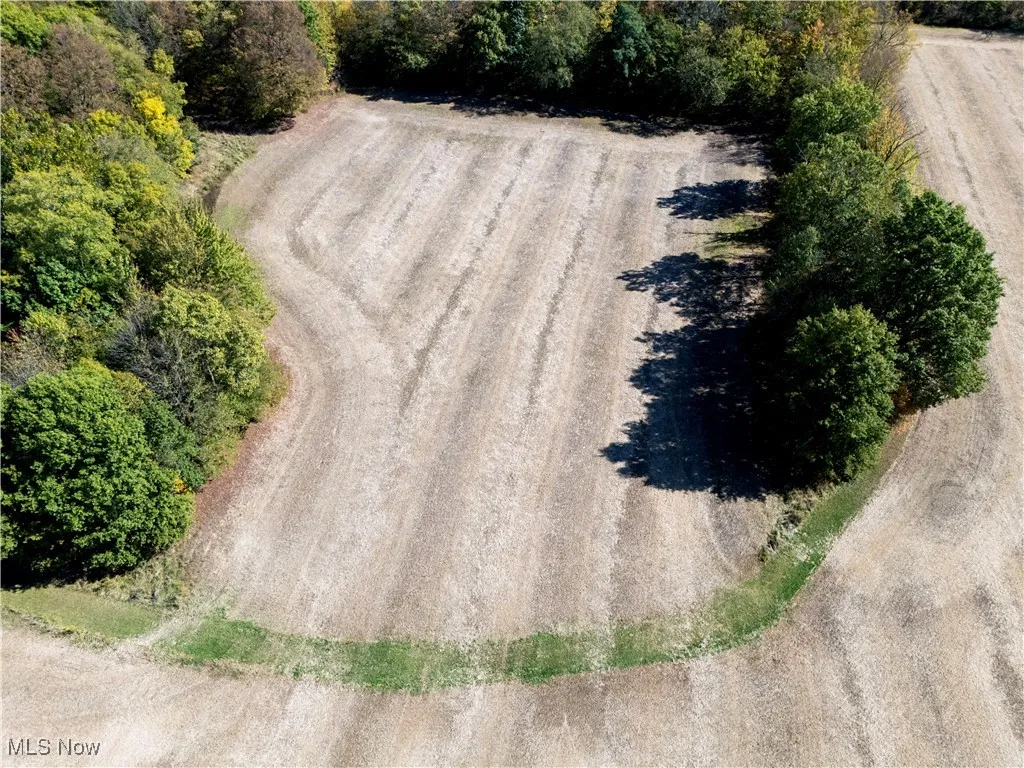 Repp Road, West Salem, Ohio 44287,MLS Now Listing ID