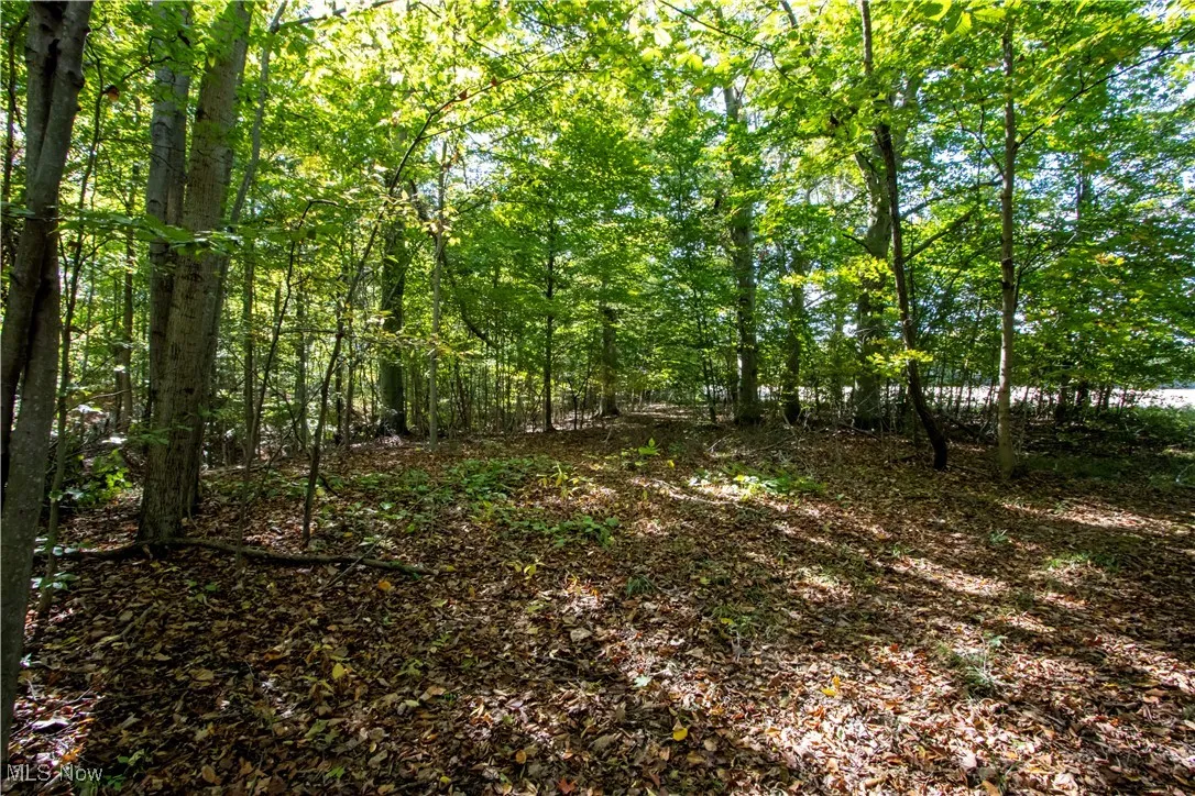 Repp Road, West Salem, Ohio 44287,MLS Now Listing ID