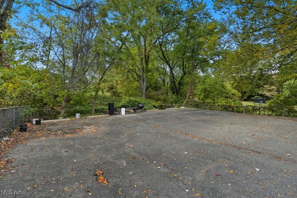 1534 Brittain Road, Akron, Ohio 44310,MLS Now Listing ID