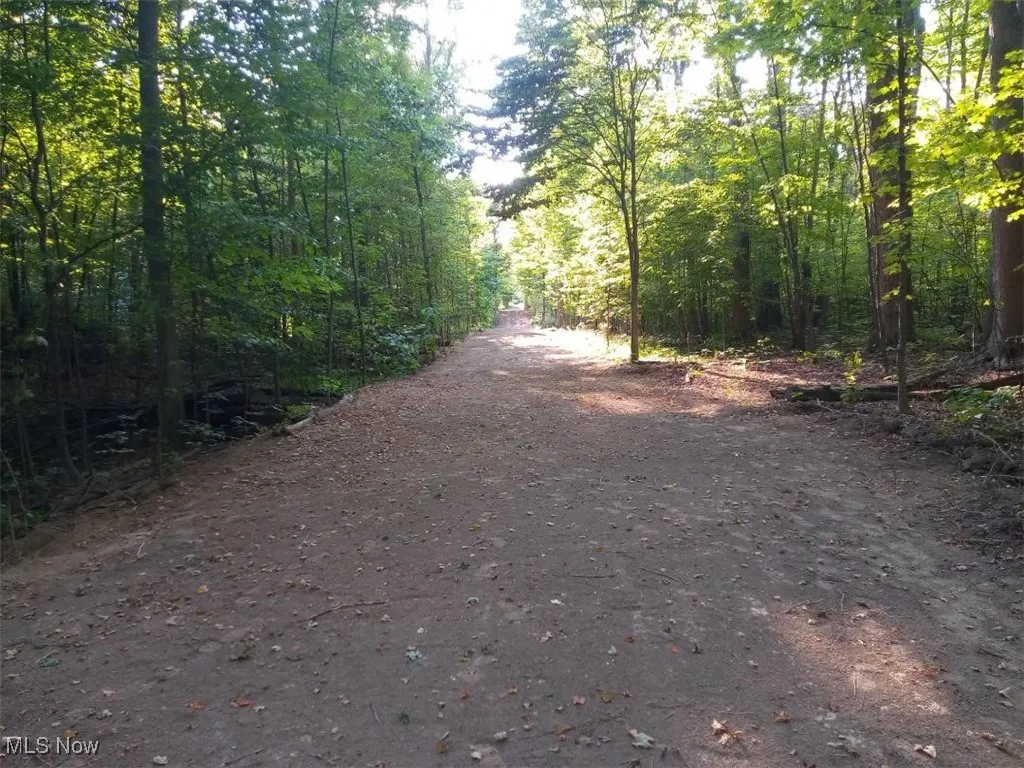 Expansive view of wooded areas