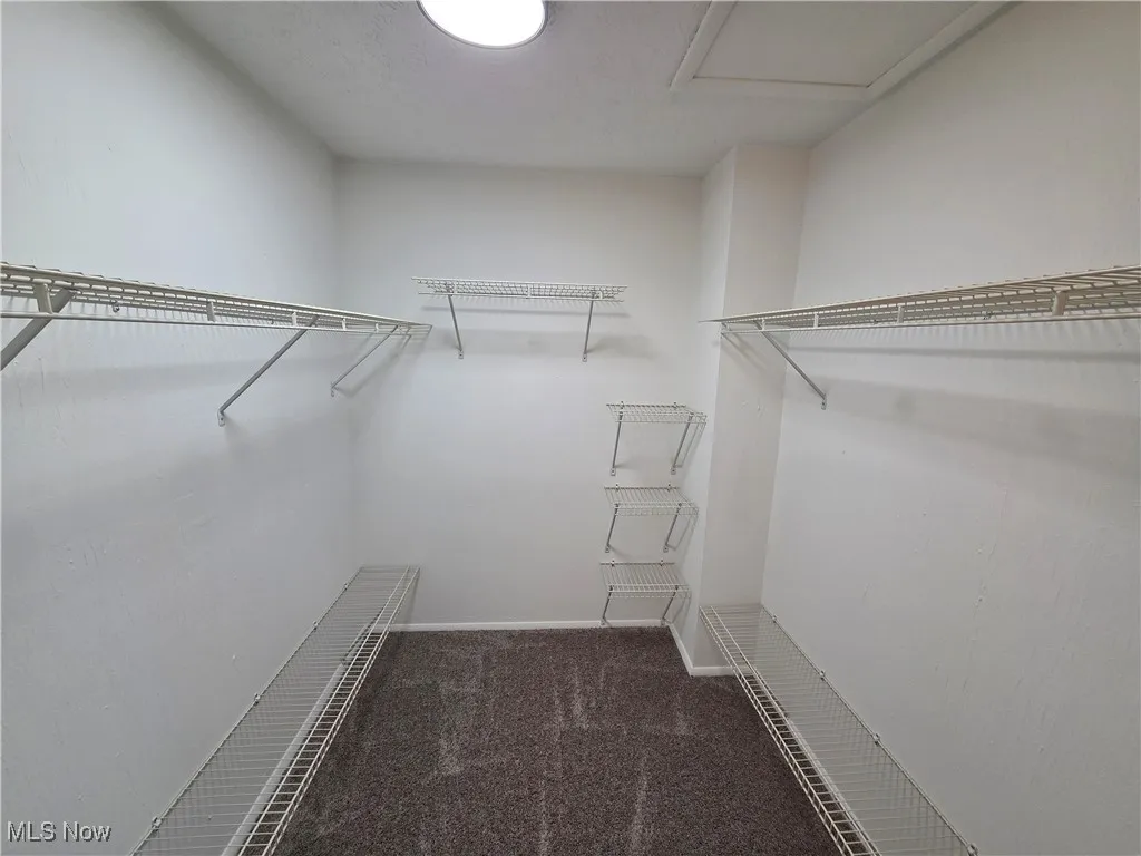 Walk in closet featuring dark carpet