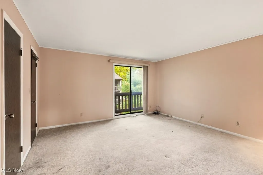 6290 Greenwood # 302, Northfield, Ohio 44067,MLS Now Listing ID