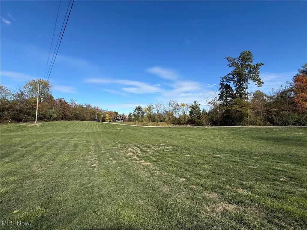 View of green lawn