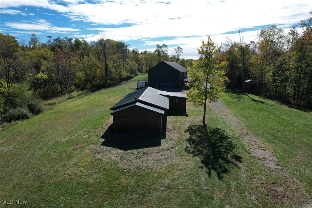 Aerial view of a forest