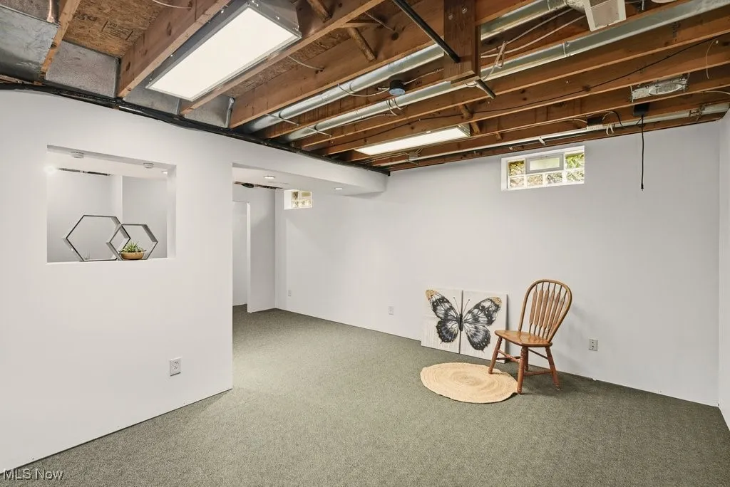 Basement featuring carpet flooring