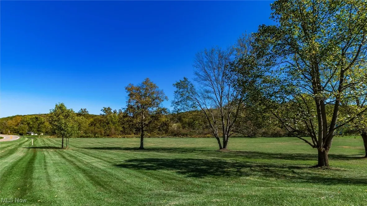 View of green lawn