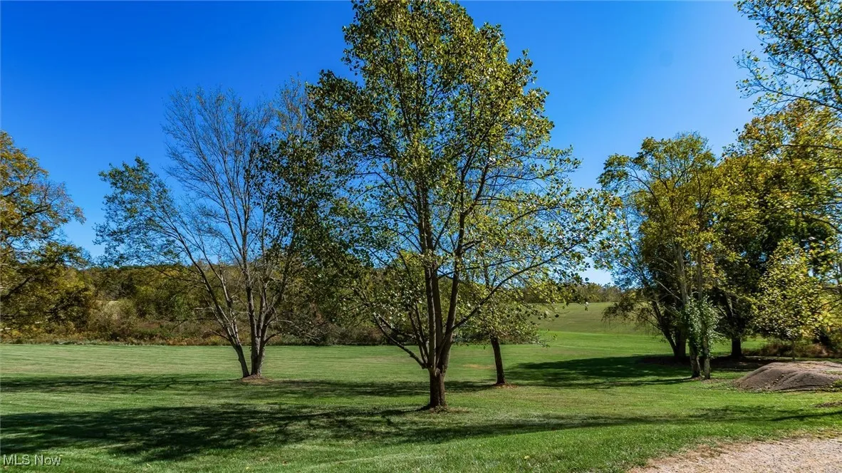 View of green lawn