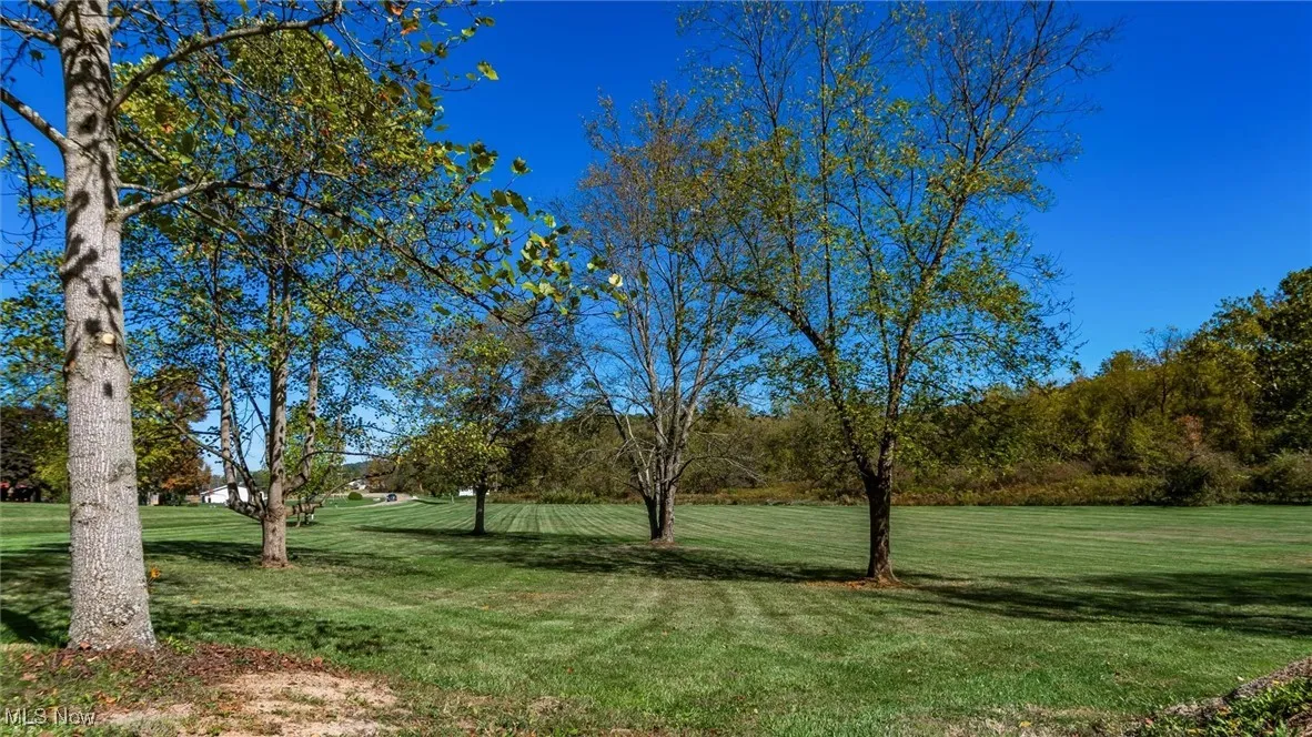 View of green lawn
