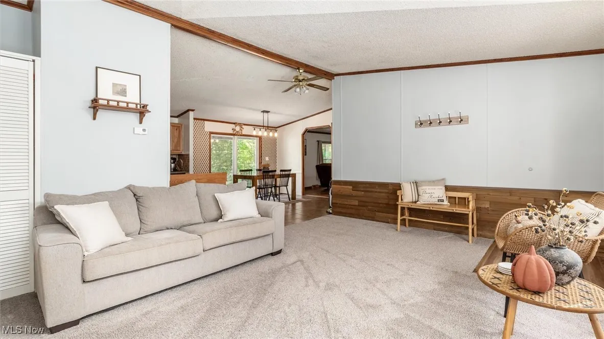 Living room featuring carpet floors, a ceiling fan, a textured ceiling, and ornamental molding