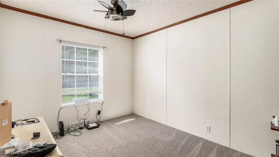 Carpeted spare room featuring ornamental molding, a textured ceiling, and ceiling fan