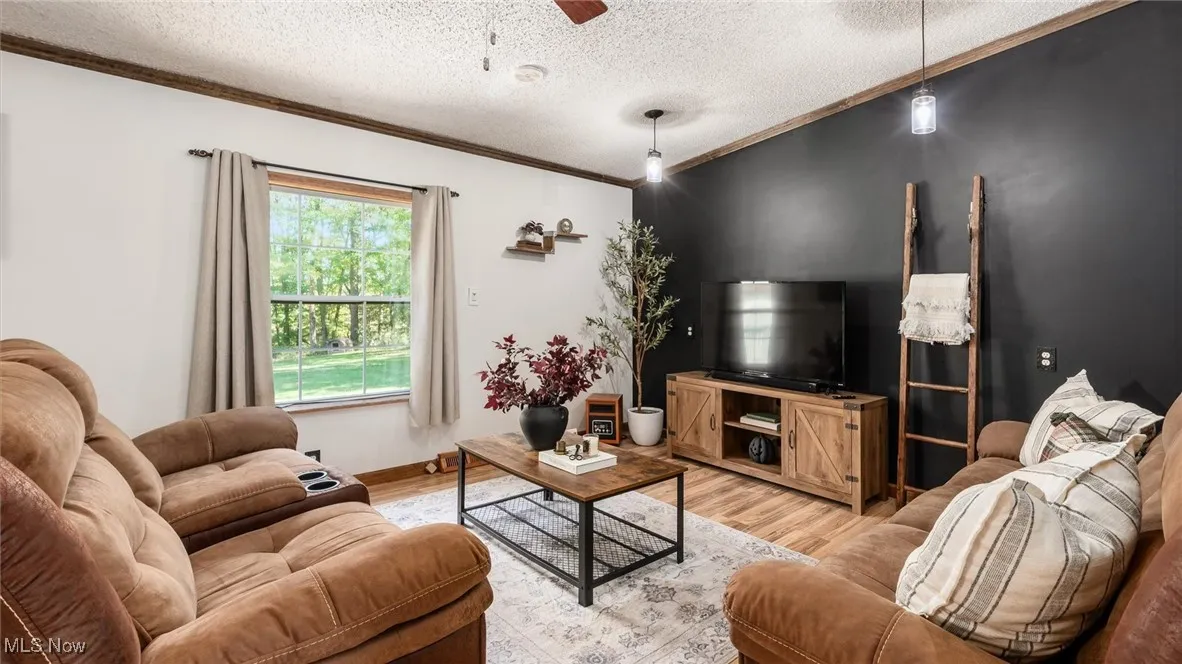 Living room with crown molding, a ceiling fan, wood finished floors, and a textured ceiling