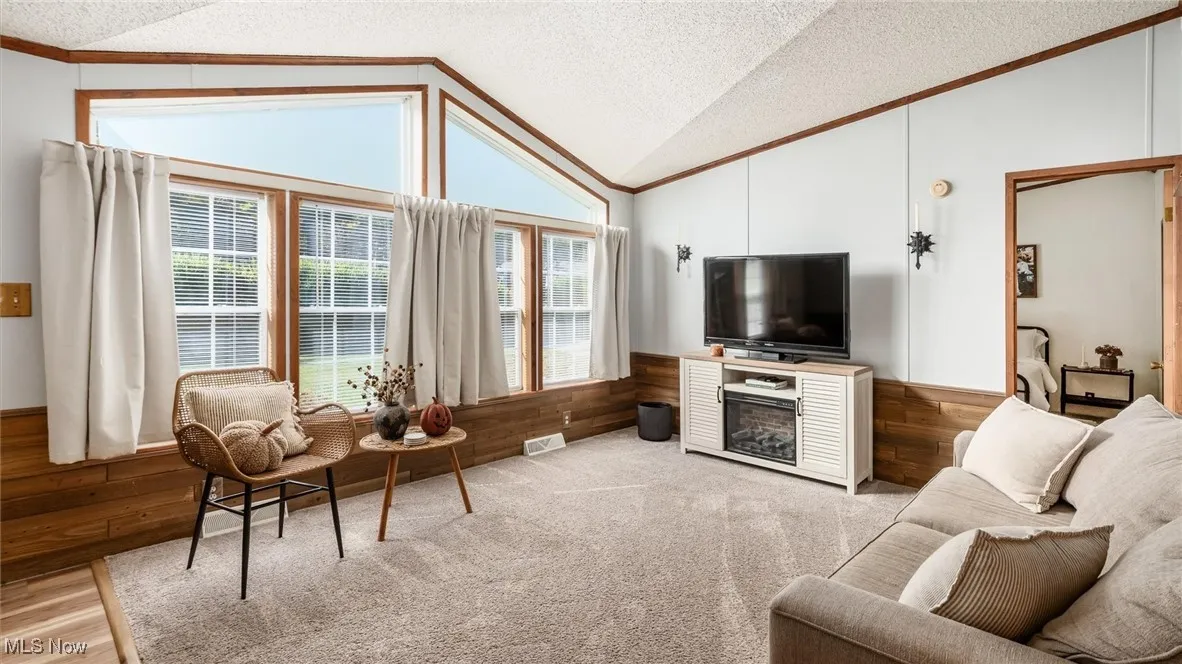 Living room featuring lofted ceiling, a textured ceiling, crown molding, wood finished floors, and a wainscoted wall